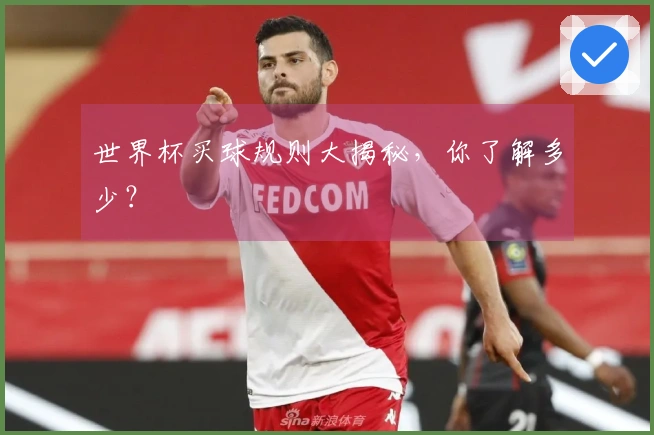 世界杯买球规则大揭秘，你了解多少？