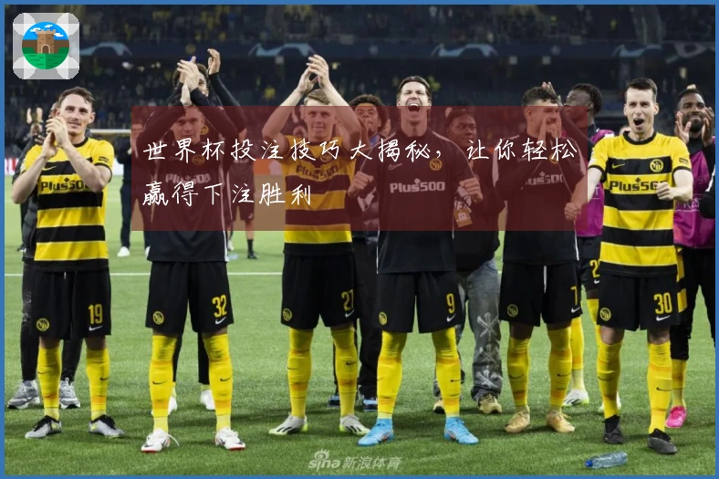 世界杯投注技巧大揭秘，让你轻松赢得下注胜利