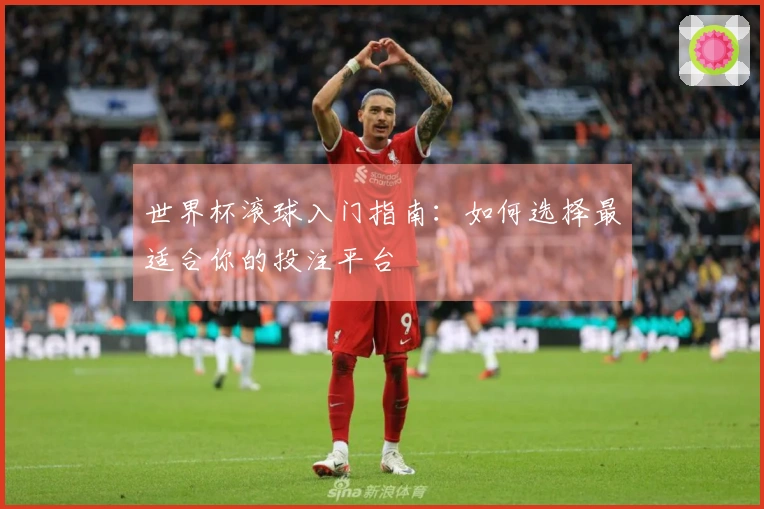 世界杯滚球入门指南：如何选择最适合你的投注平台