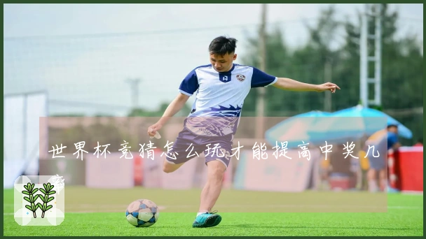 世界杯竞猜怎么玩才能提高中奖几率