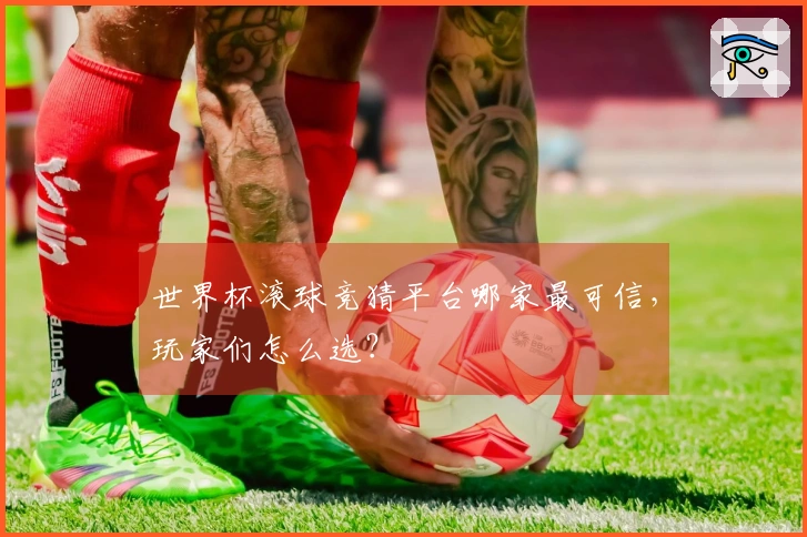 世界杯滚球竞猜平台哪家最可信，玩家们怎么选？